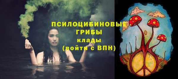 экстази Арсеньев