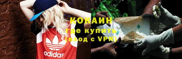 хмурый Новозыбков