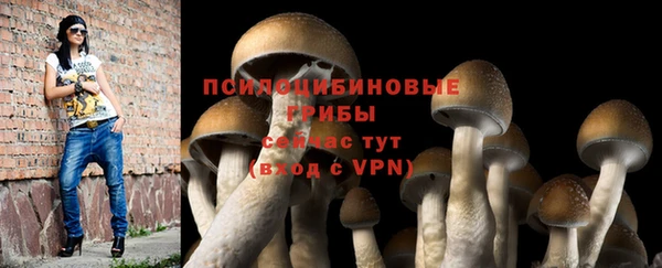 дмт Аркадак